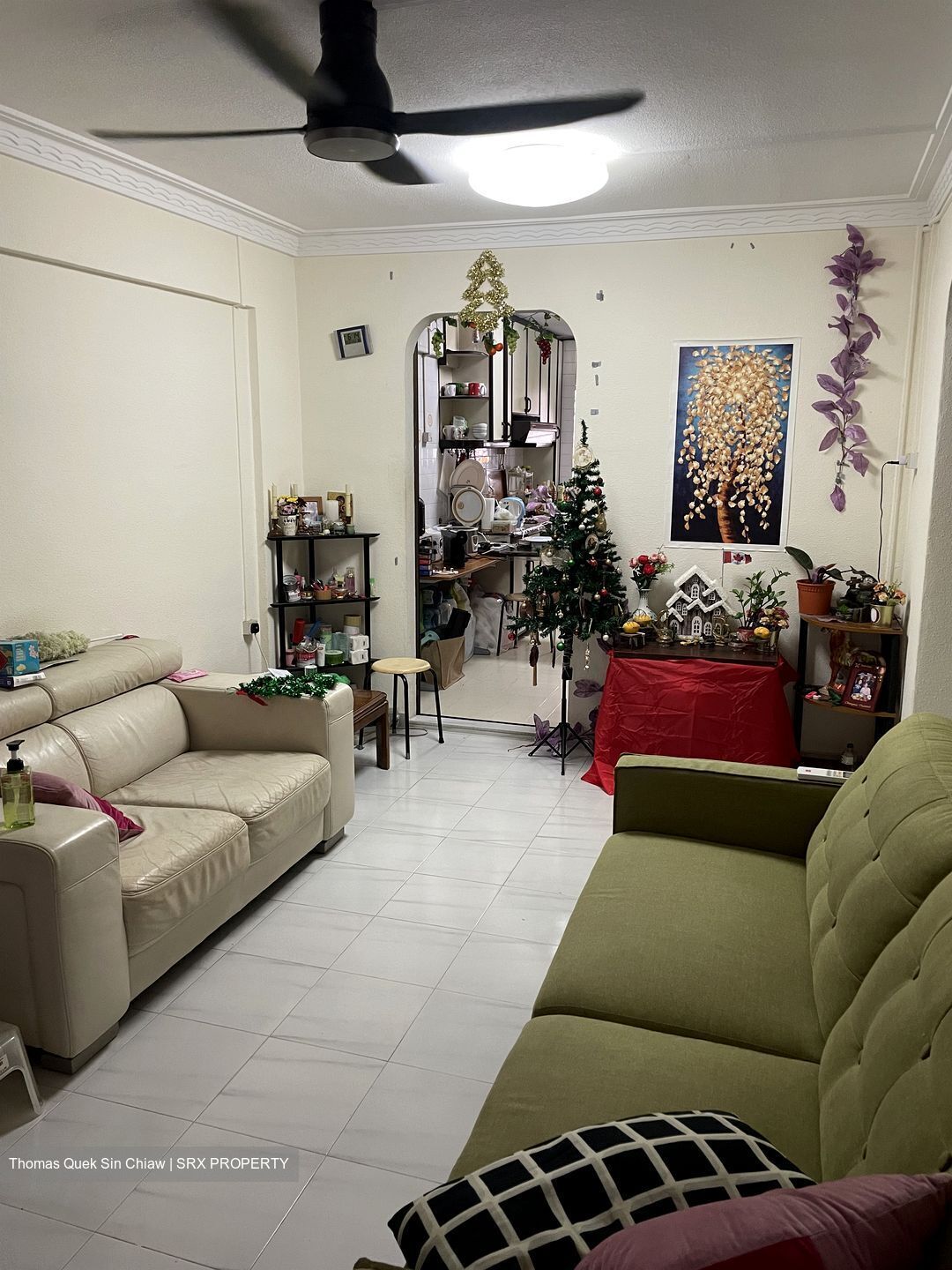 Bishan Street 13 thumbnail photo